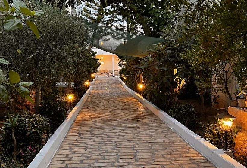 住宿加早餐 Résidence Neffati