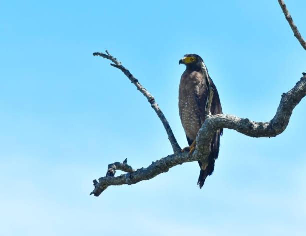 Bed and Breakfast Share Safari Paradise