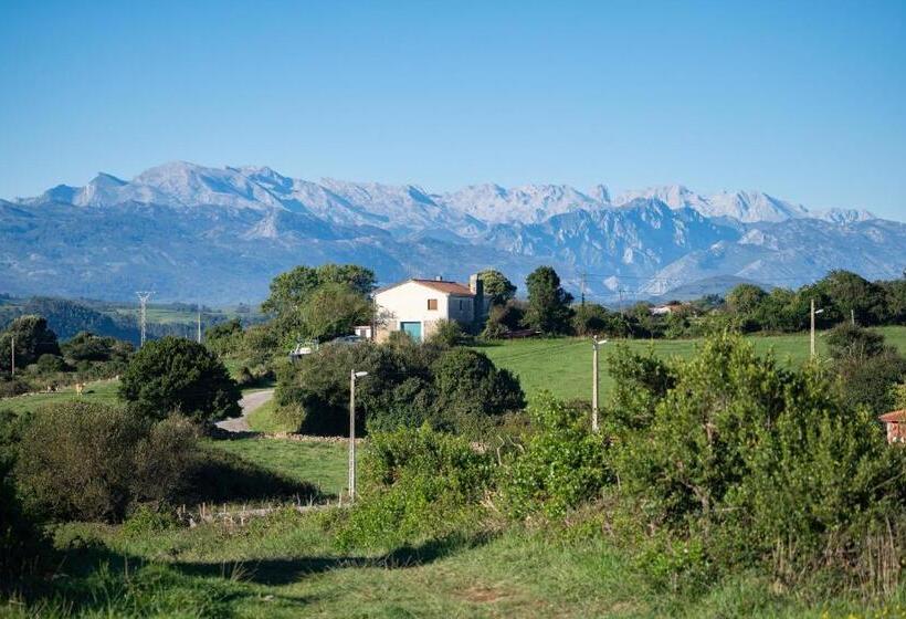 تختخواب و صبحانه Surf House Sanvi