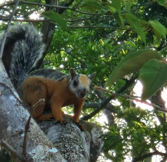 민박 Vista Mar Y Monos