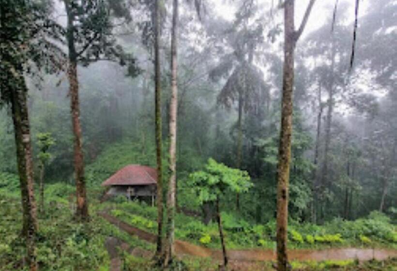 Coorg Aisiri Resort, Madikeri