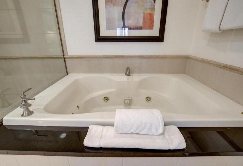 Elite Studio Mgm Signature Balcony Strip View