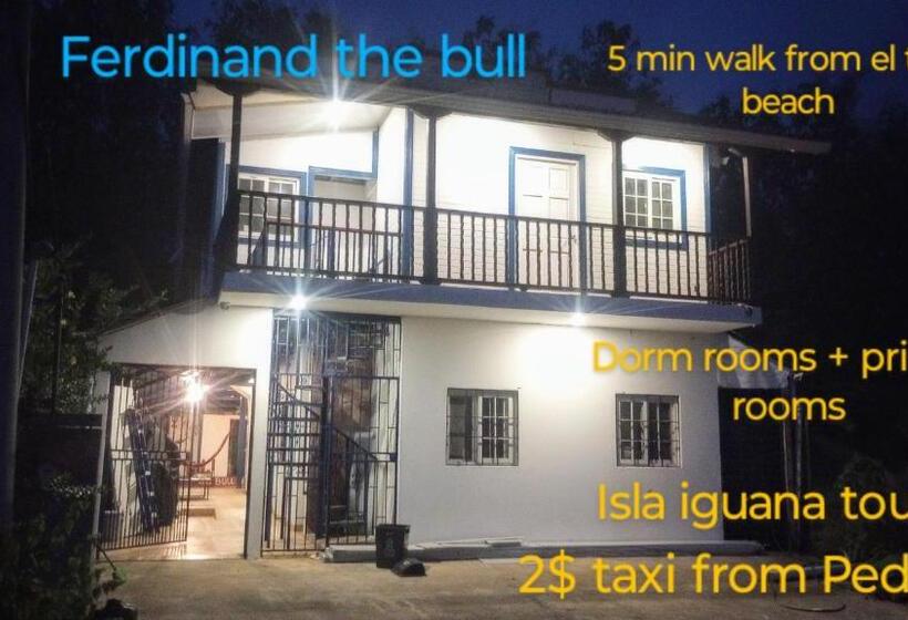 فندق صغير Ferdinand Apartments