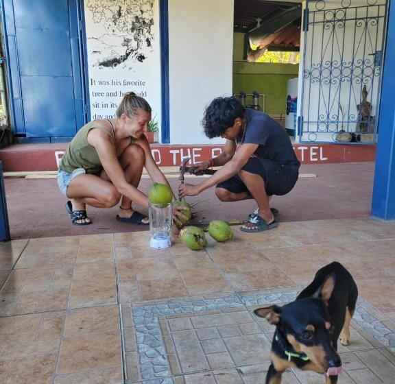 فندق صغير Ferdinand Apartments