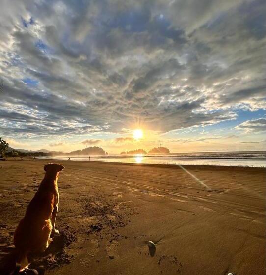 Отель Cabañas Iracas Del Mar