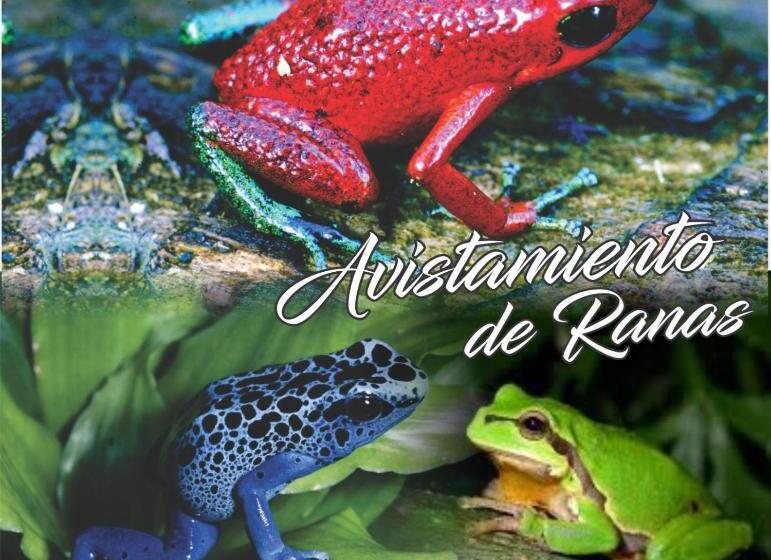 Отель Cabañas Iracas Del Mar