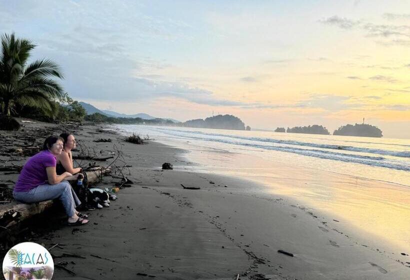 Отель Cabañas Iracas Del Mar