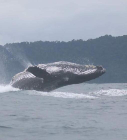 هتل Cabañas Iracas Del Mar