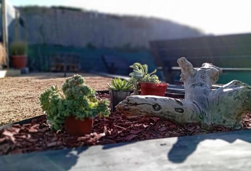 בית מלון כפרי Casa Puccllana