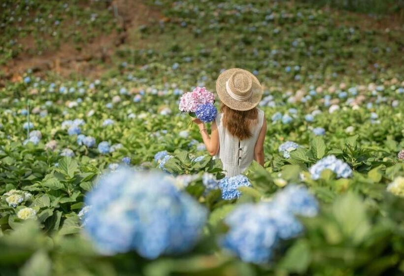 호텔 Cozy Homey Doichang