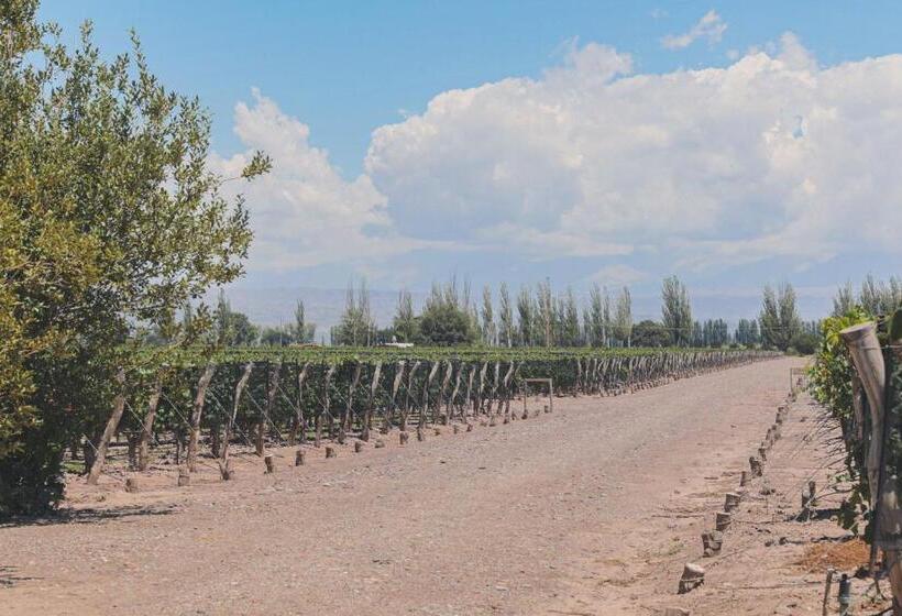 فندق Enlace Casa De Huespedes