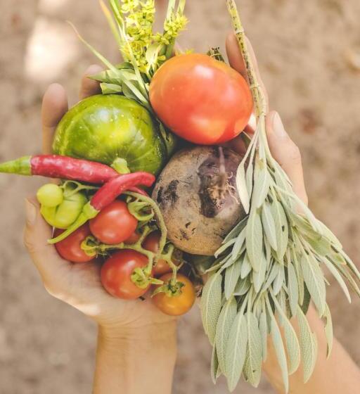 فندق Enlace Casa De Huespedes