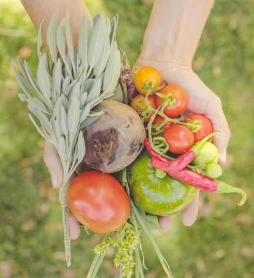 فندق Enlace Casa De Huespedes