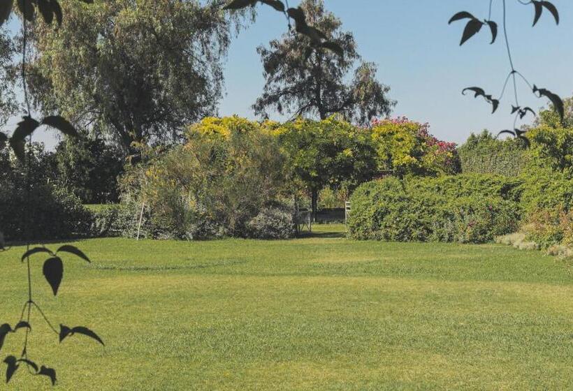 فندق Enlace Casa De Huespedes