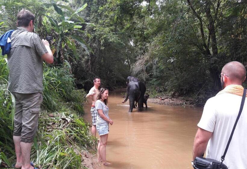 فندق Eagle Safari Cottage