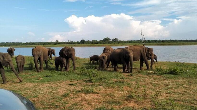 فندق Eagle Safari Cottage