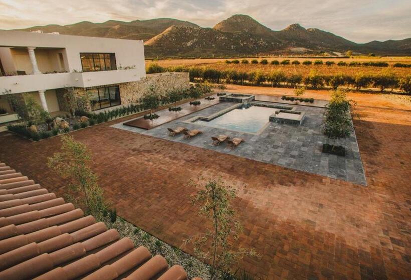 בית מלון כפרי Flores De Sal Valle De Guadalupe
