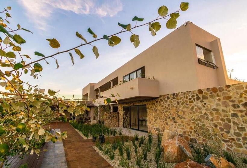 בית מלון כפרי Flores De Sal Valle De Guadalupe