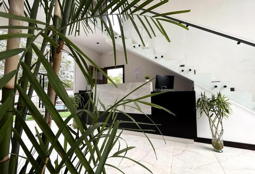 בית מלון כפרי Ocean Drive Lodge