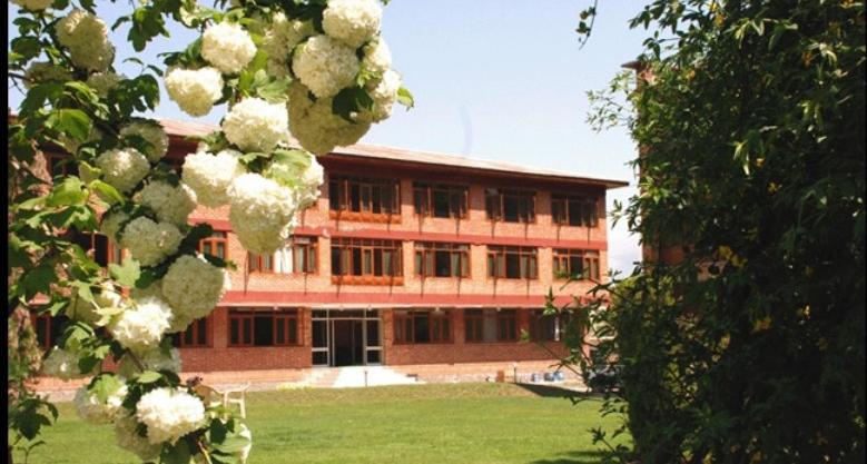 酒店 Palace Inn Shrinagar