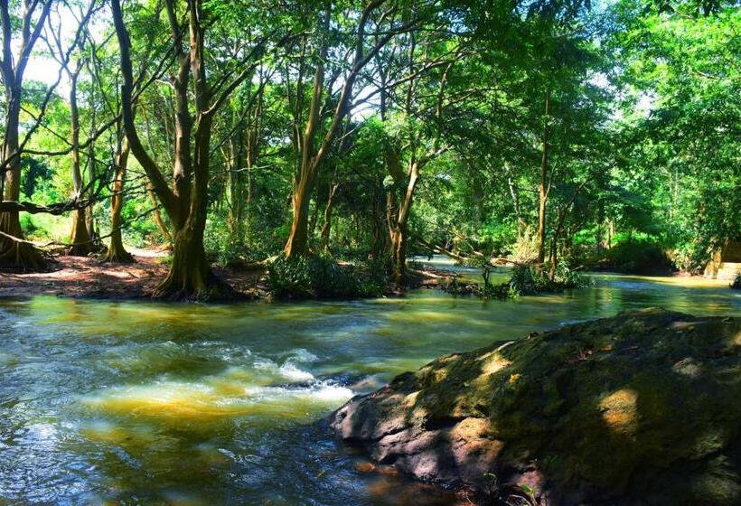 ホテル River Place Resort Udawalawa