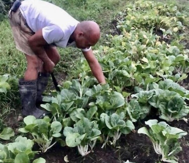 فندق Sobral Rice Terraces View