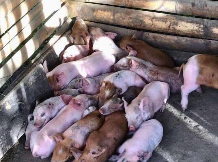 酒店 Sobral Rice Terraces View