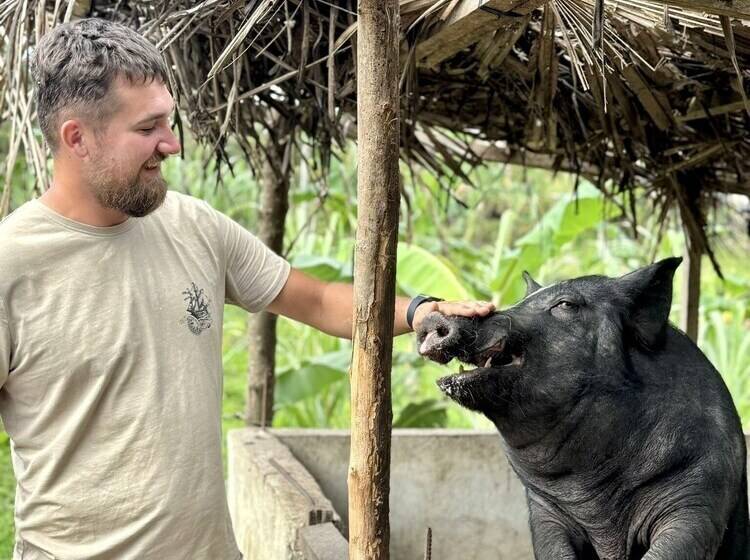 酒店 Sobral Rice Terraces View