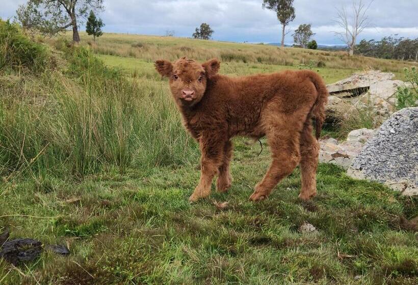 Отель The Old Dairy On Winkleigh