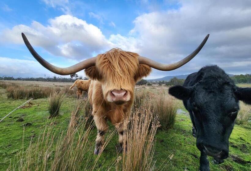 Отель The Old Dairy On Winkleigh