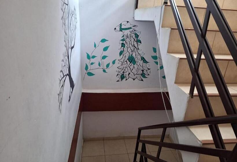 Montañero Hostel Ii