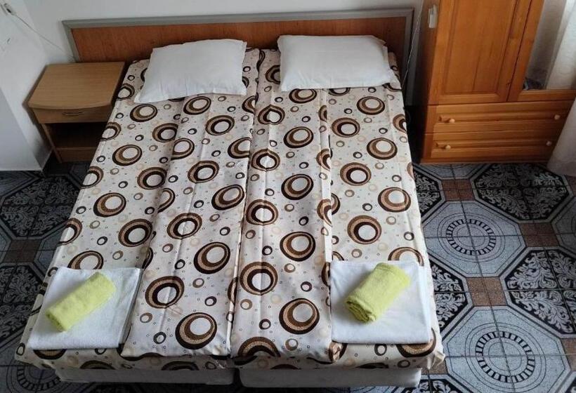 بنسيون стаи за гости росица