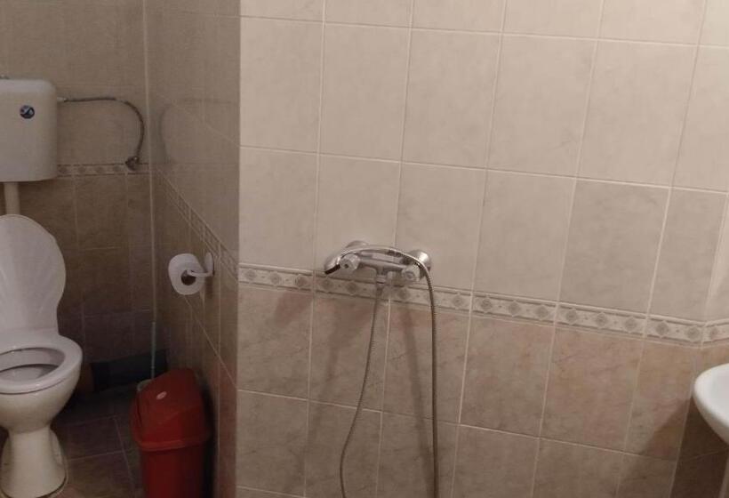 بنسيون стаи за гости росица