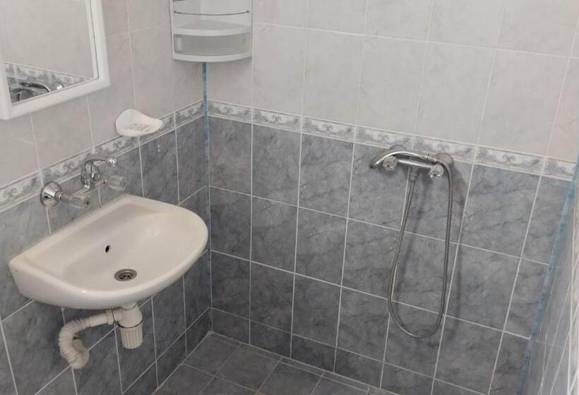 بنسيون стаи за гости росица