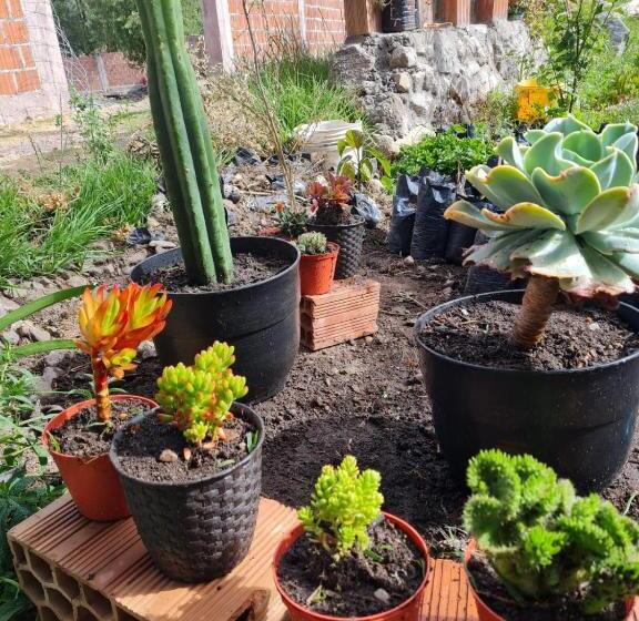 پانسیون Capac Wayna Valle Sagrado