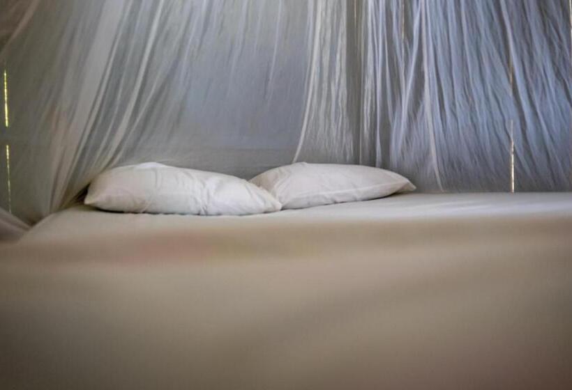 بنسيون Casa De Gune