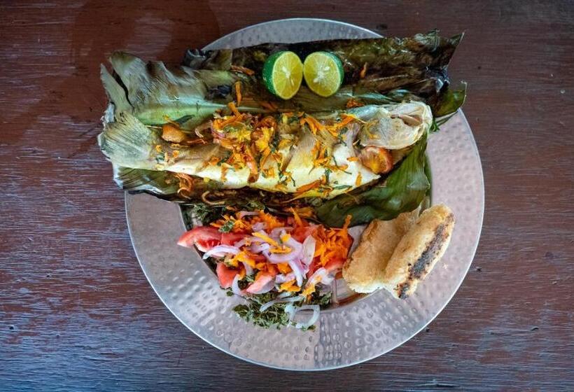 بنسيون Casa De Gune