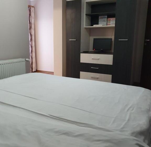 膳宿费 Casa Laurentiu