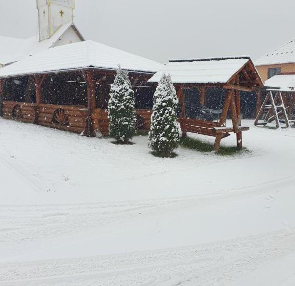 膳宿费 Casa Laurentiu