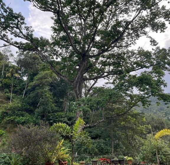 ペンション Mount Court Munnar