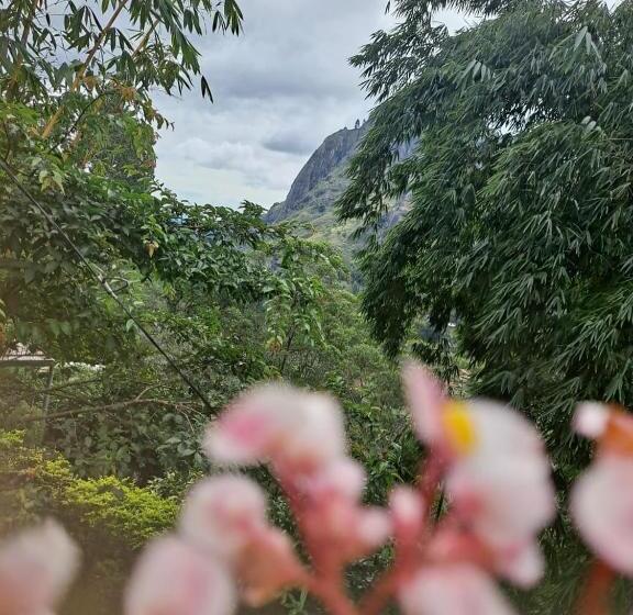 膳宿费 New White Rose