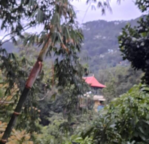 膳宿费 New White Rose