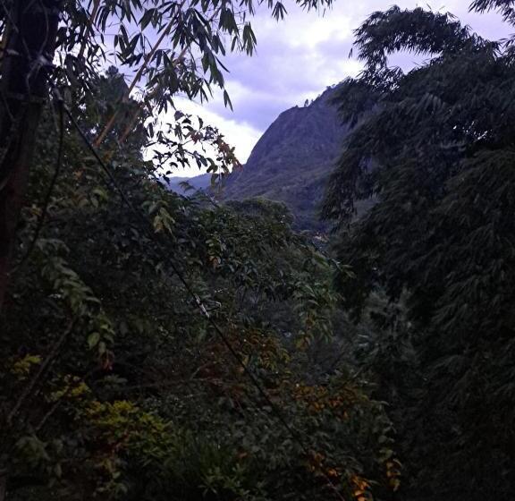 膳宿费 New White Rose