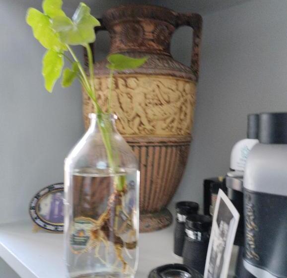 پانسیون Nuovo Appartamento In Borgo Medievale