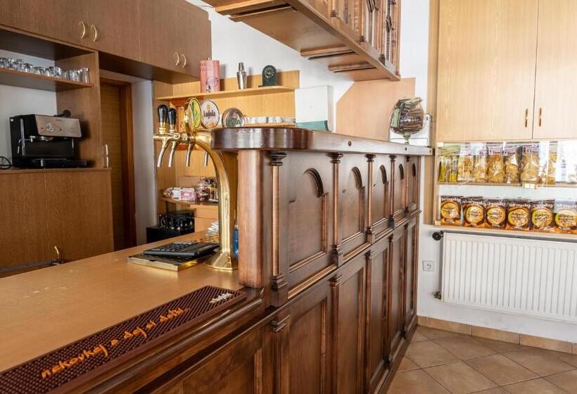 Panzió Penzion U Rybníka