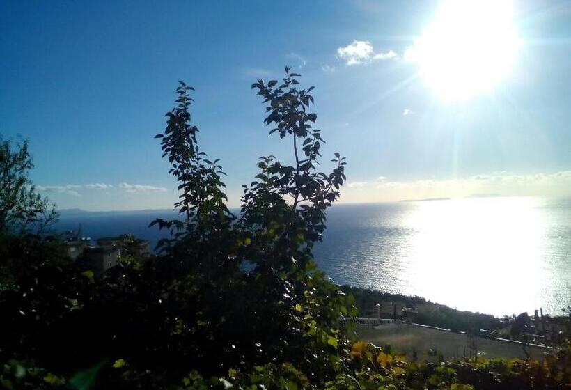 פנסיון Rooms To Let Spiropali