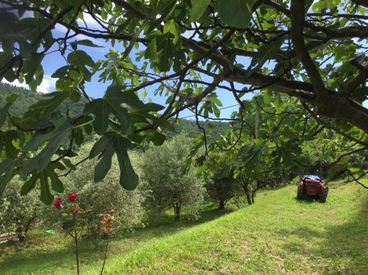 پانسیون Salara House