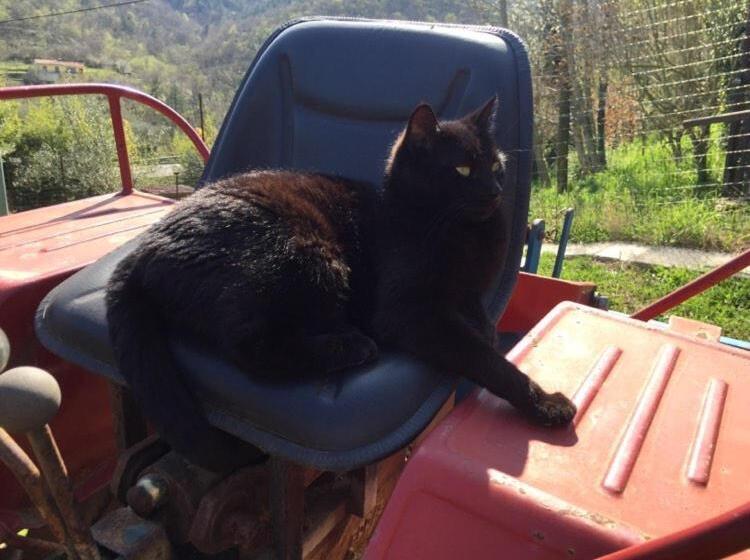 پانسیون Salara House