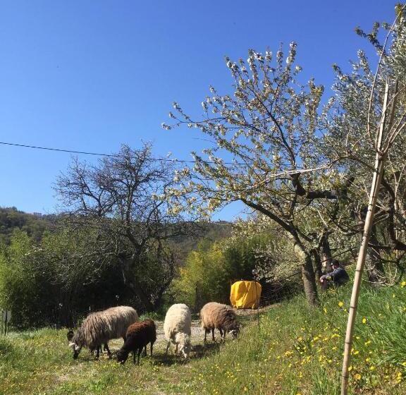 پانسیون Salara House