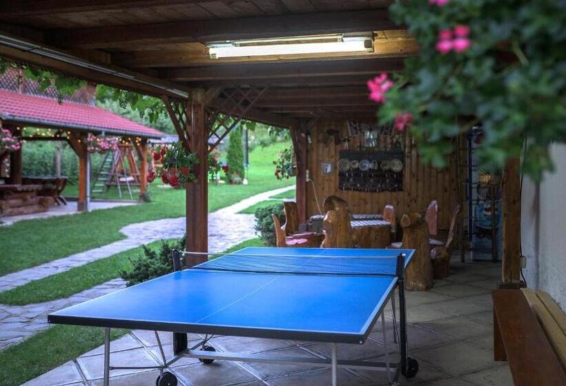 Pensiunea Casa Loloiu